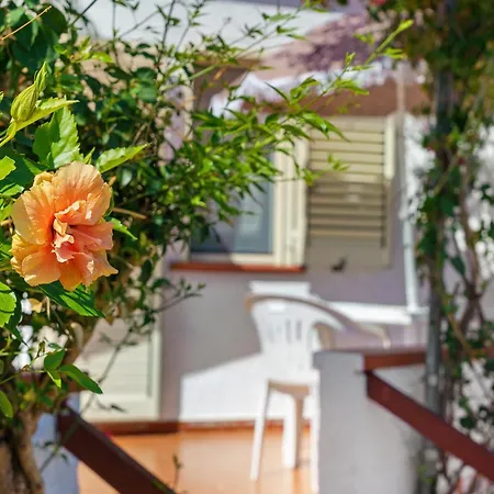 Domu Istella - B Holiday home